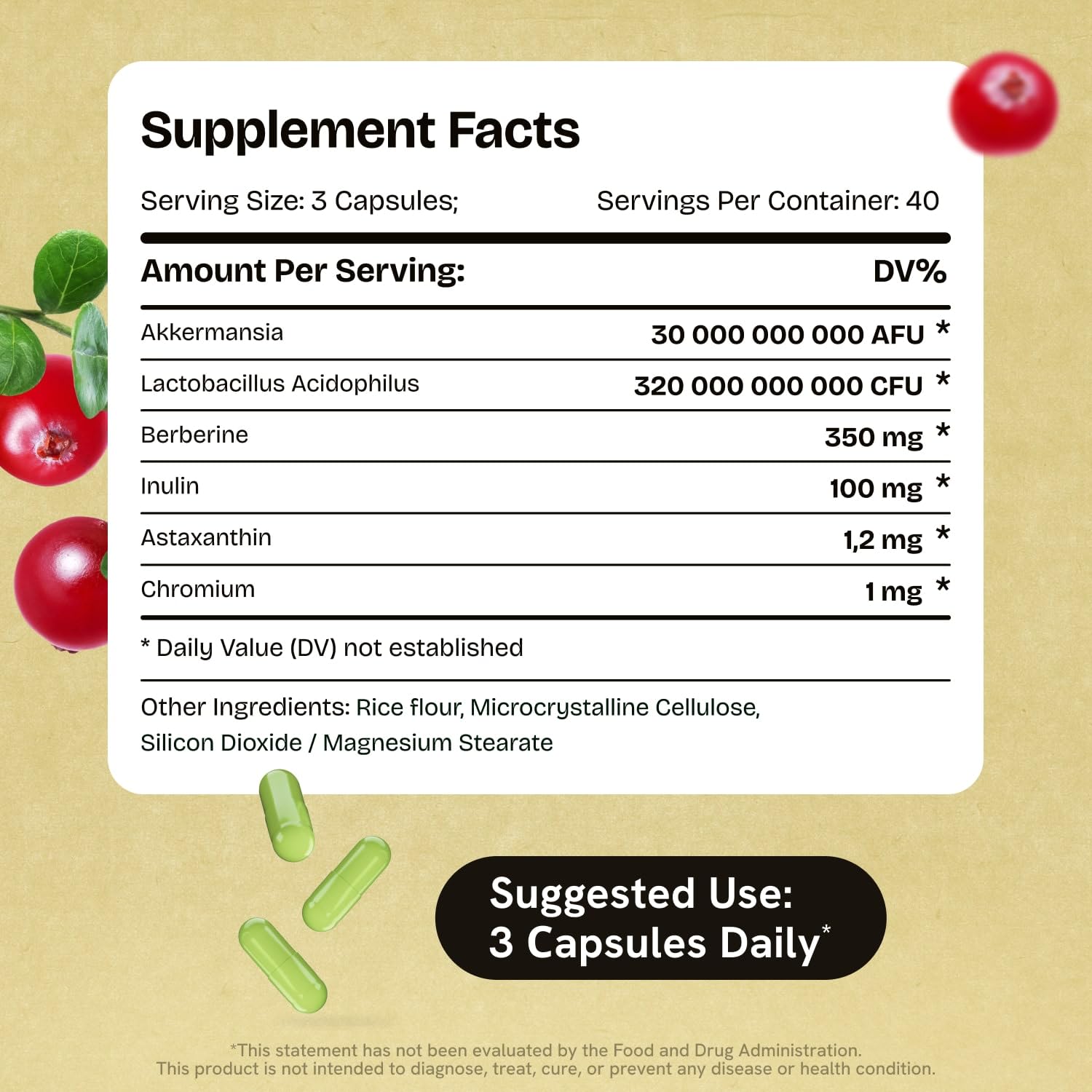 Probiotic energy and focus support