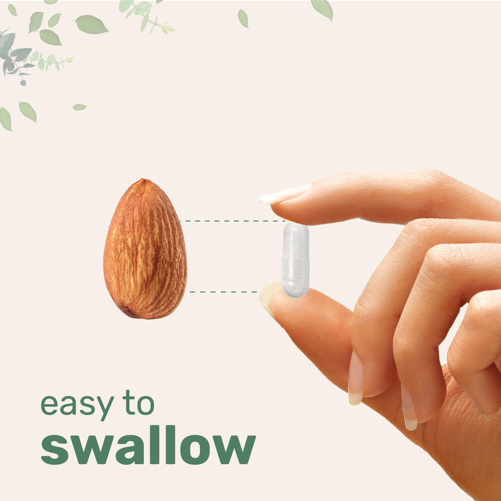 Probiotic cultures: Lactobacillus and Bifidobacterium