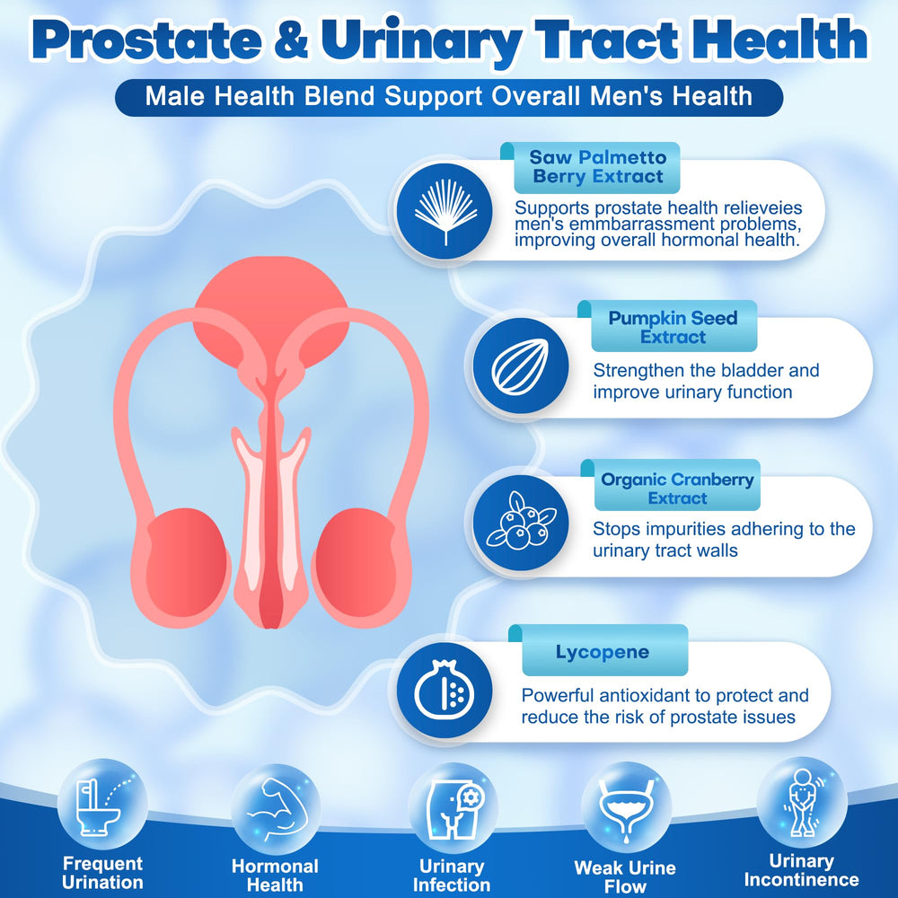 Probiotics for Men with 15 strains for digestive and immune support