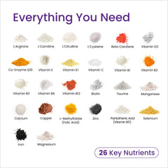 CoQ10 graphic with other essential nutrients