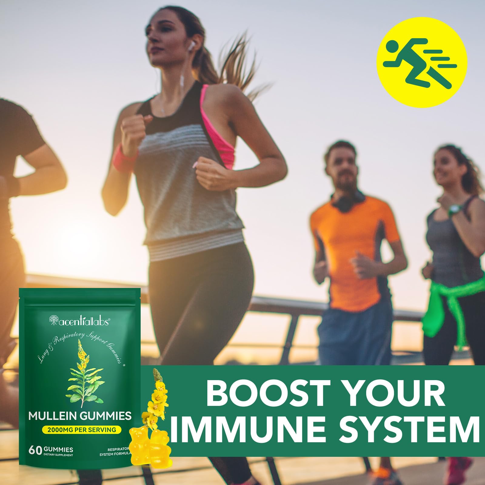 Product packaging front view for mullein gummies 120 Count