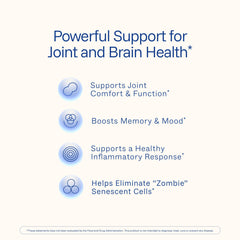 Longvida curcumin extract illustration
