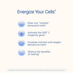 Close-up of micronized trans-resveratrol powder particles