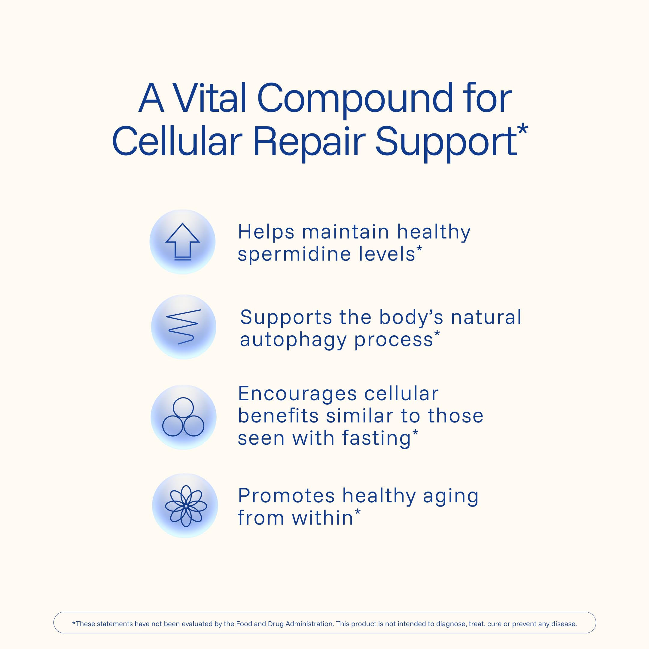 Purified wheat germ extract used in Spermidine formula