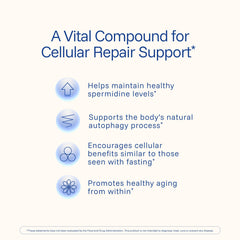 Purified wheat germ extract used in Spermidine formula