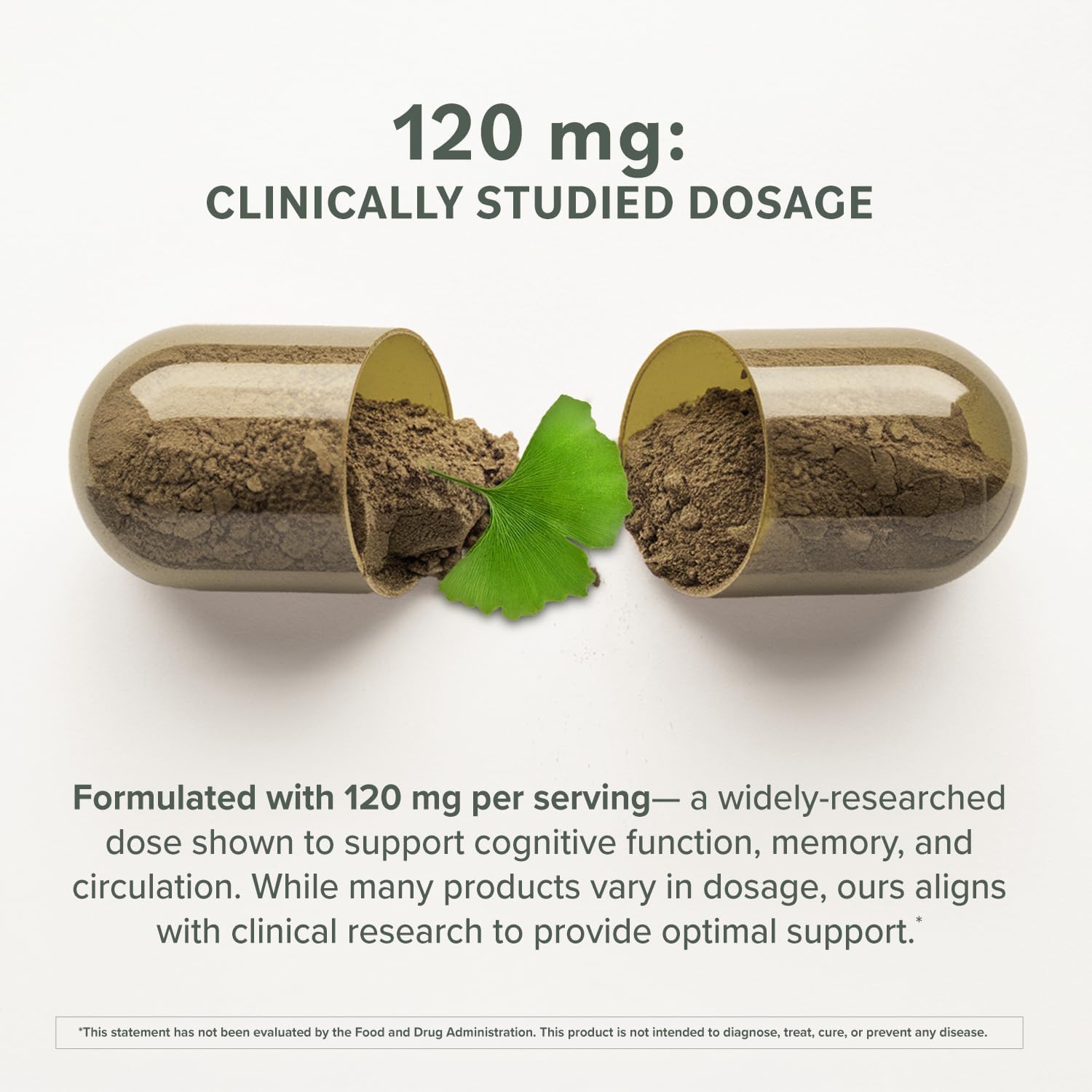 Ginkgo Biloba capsules close-up