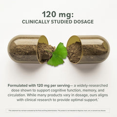 Ginkgo Biloba capsules close-up