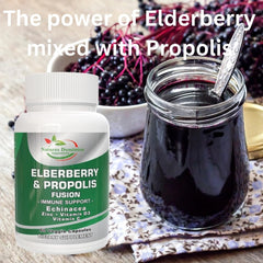 Close-up of elderberries and propolis resin illustration