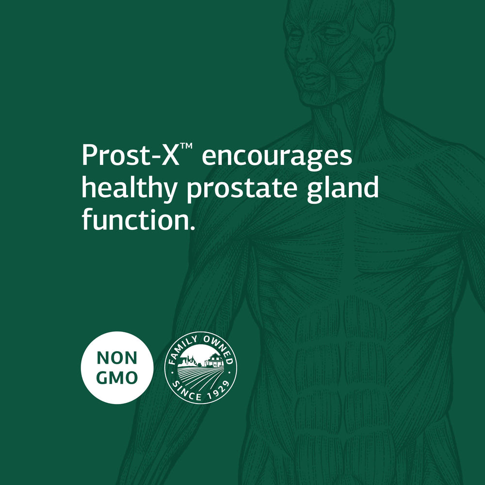 Prost-X prostate health illustration