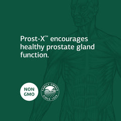 Prost-X prostate health illustration