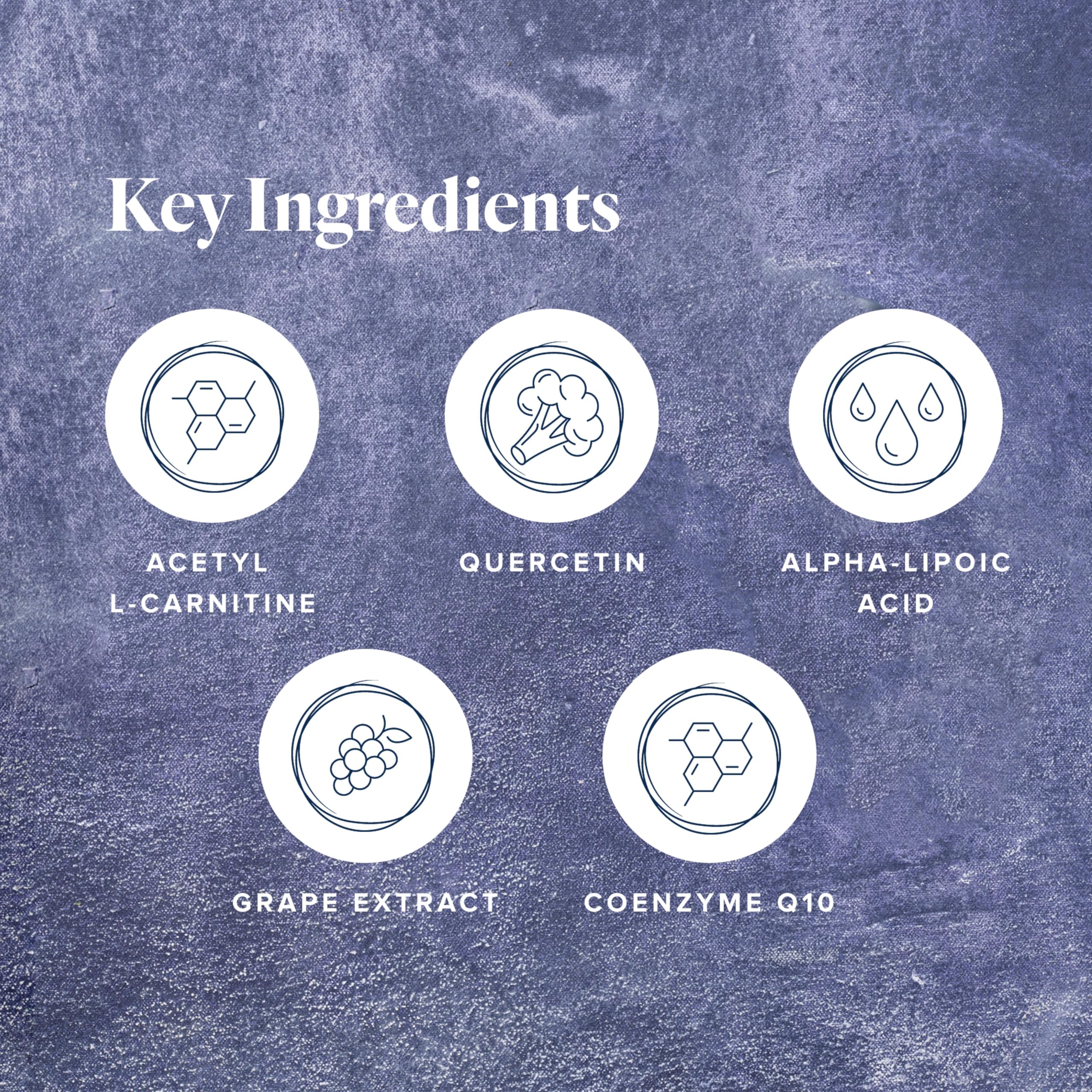 Illustration of mitochondria and ATP energy production