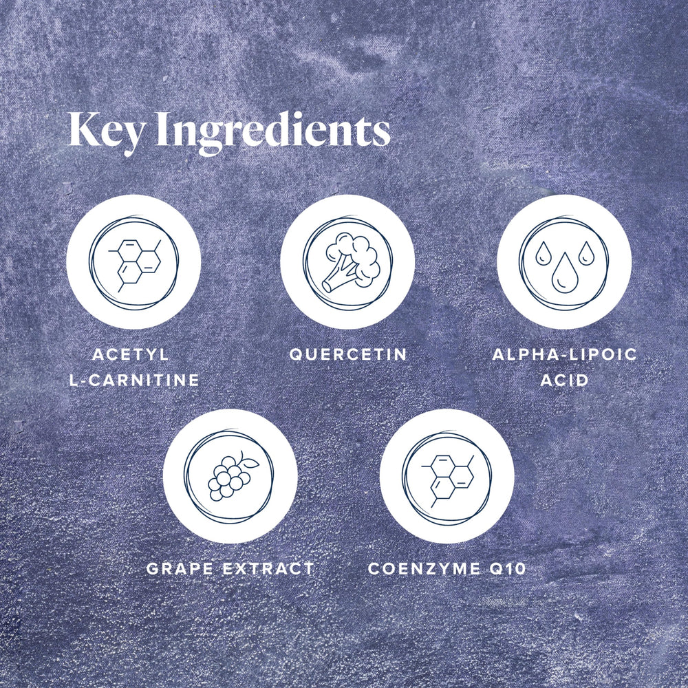 Illustration of mitochondria and ATP energy production