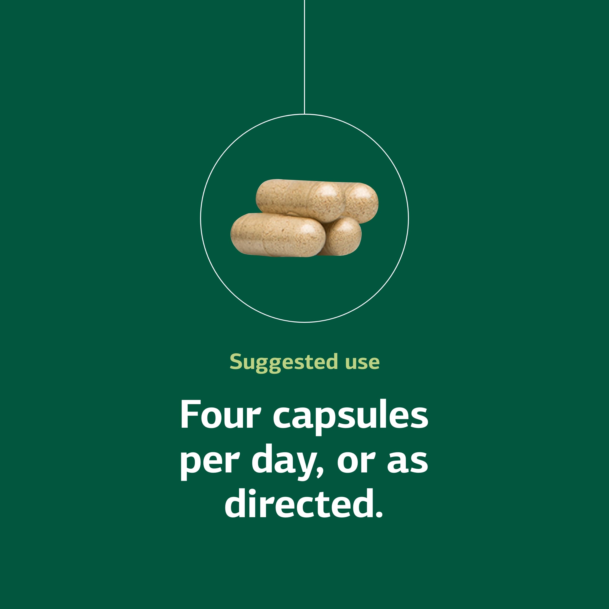 Protefood calcium component highlight