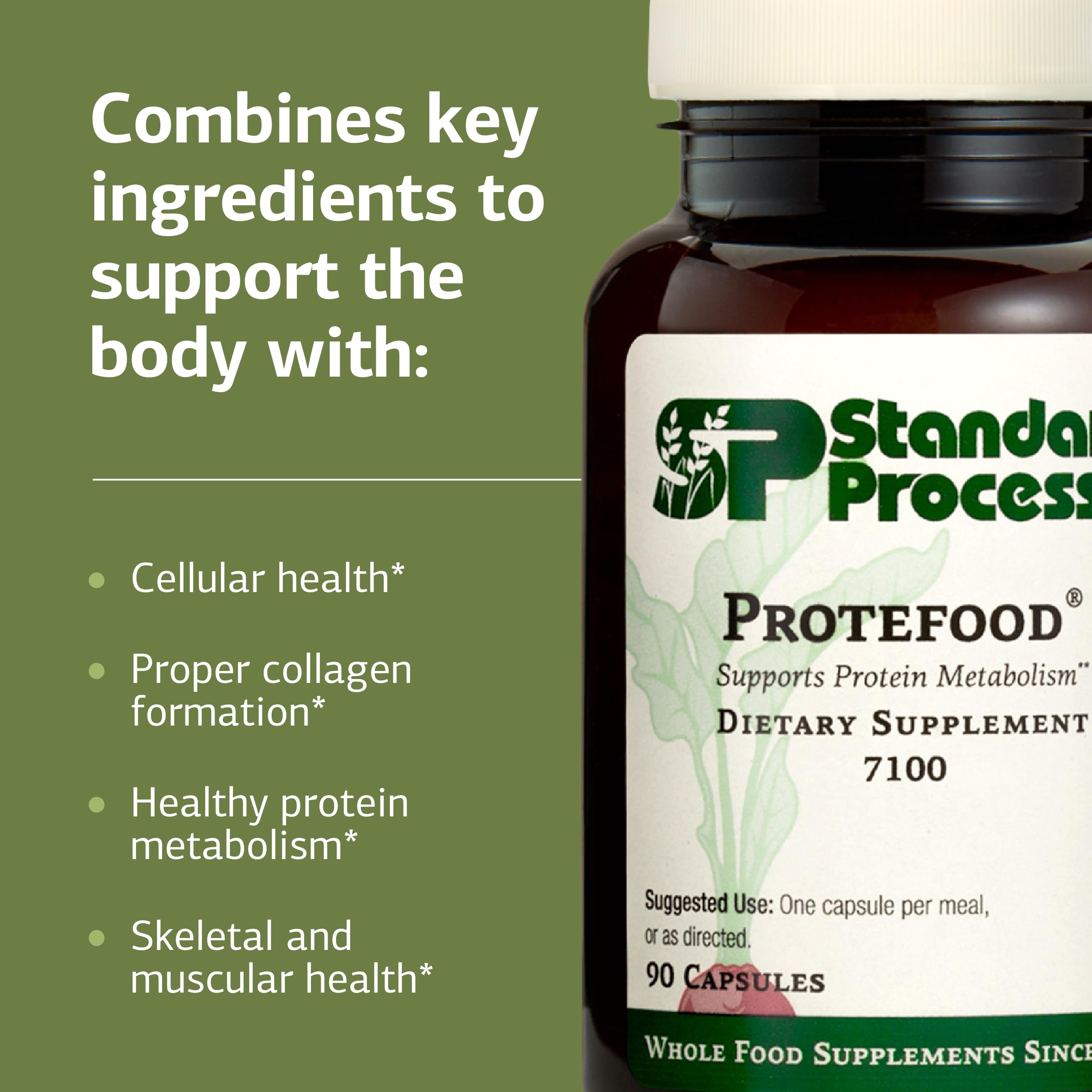 Graphic illustrating protein metabolism support with Protefood