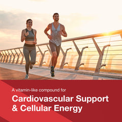 Ingredients highlight for Protocol CoQ10 200 mg