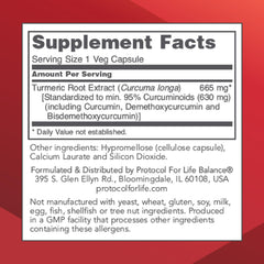 Close-up of capsules showing 665 mg curcumin per capsule