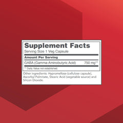 Front view of Protocol for Life Balance GABA 750mg bottle