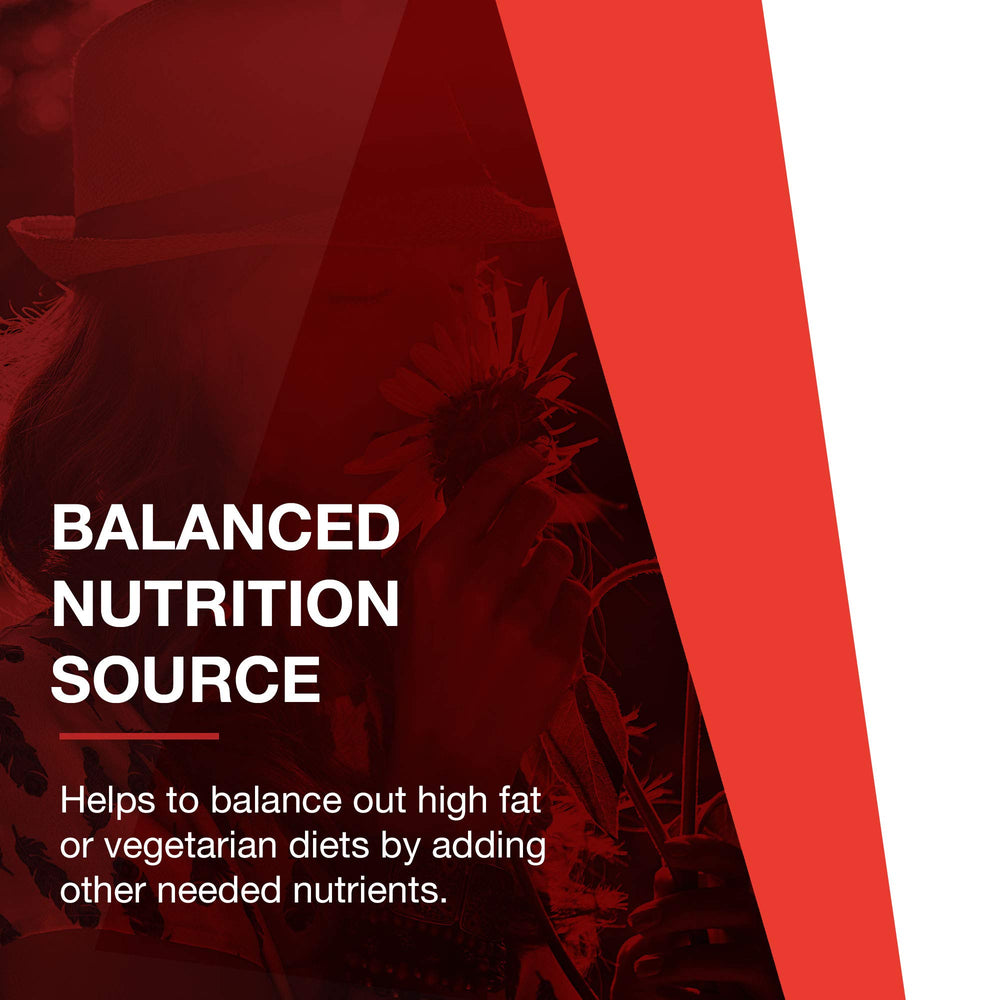 PROTOCOL FOR LIFE BALANCE bottle on gym bag for workouts.