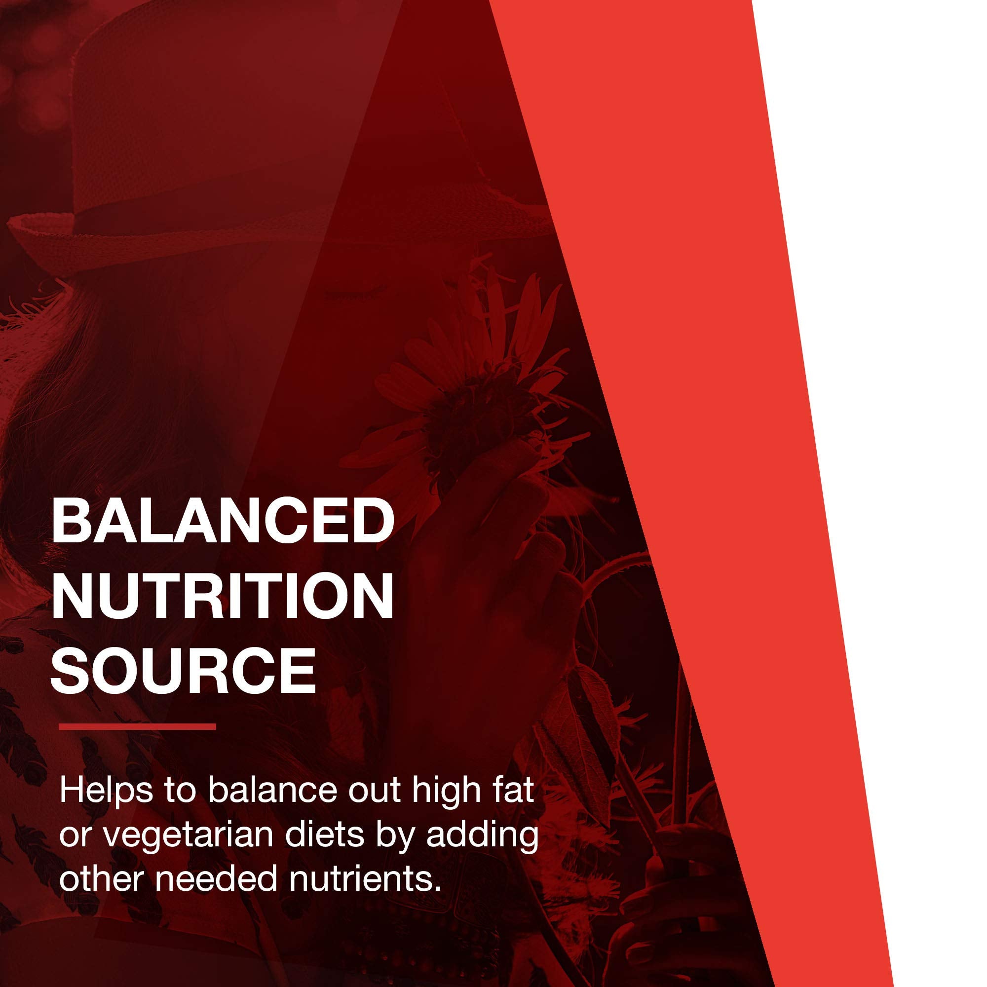 PROTOCOL FOR LIFE BALANCE bottle on gym bag for workouts.