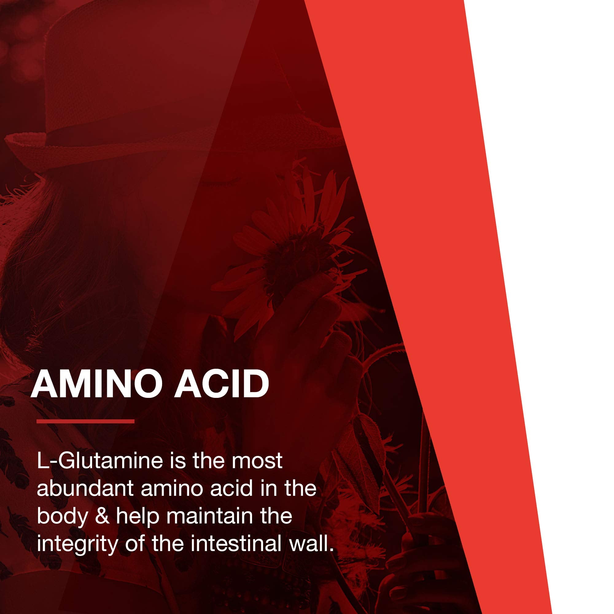 L-Glutamine promoting gut health image