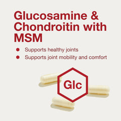Close-up of ingredients: glucosamine, chondroitin, and MSM