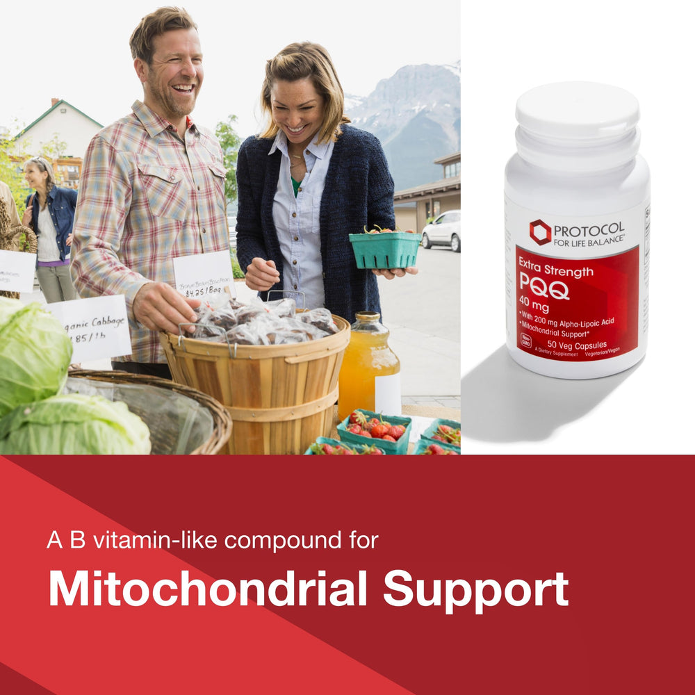 Ingredients for Protocol For Life Balance PQQ 40mg supplement