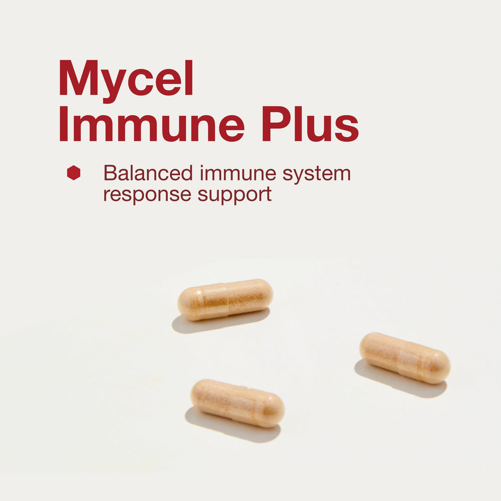 Maitake, reishi and shiitake mushrooms in Protocol Mycel Immune Plus