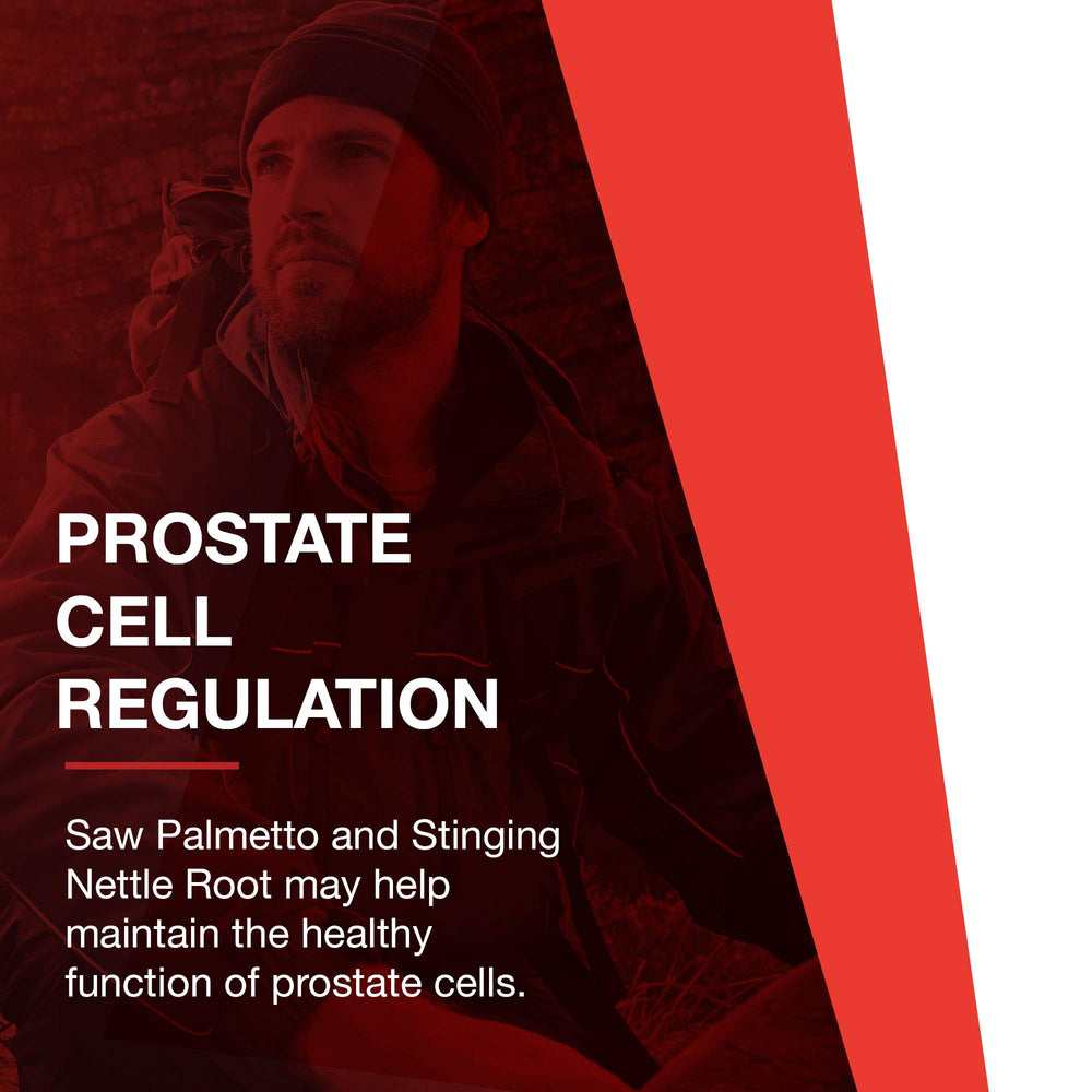 A-Rated GMP manufacturing badge for Protocol For Life Balance