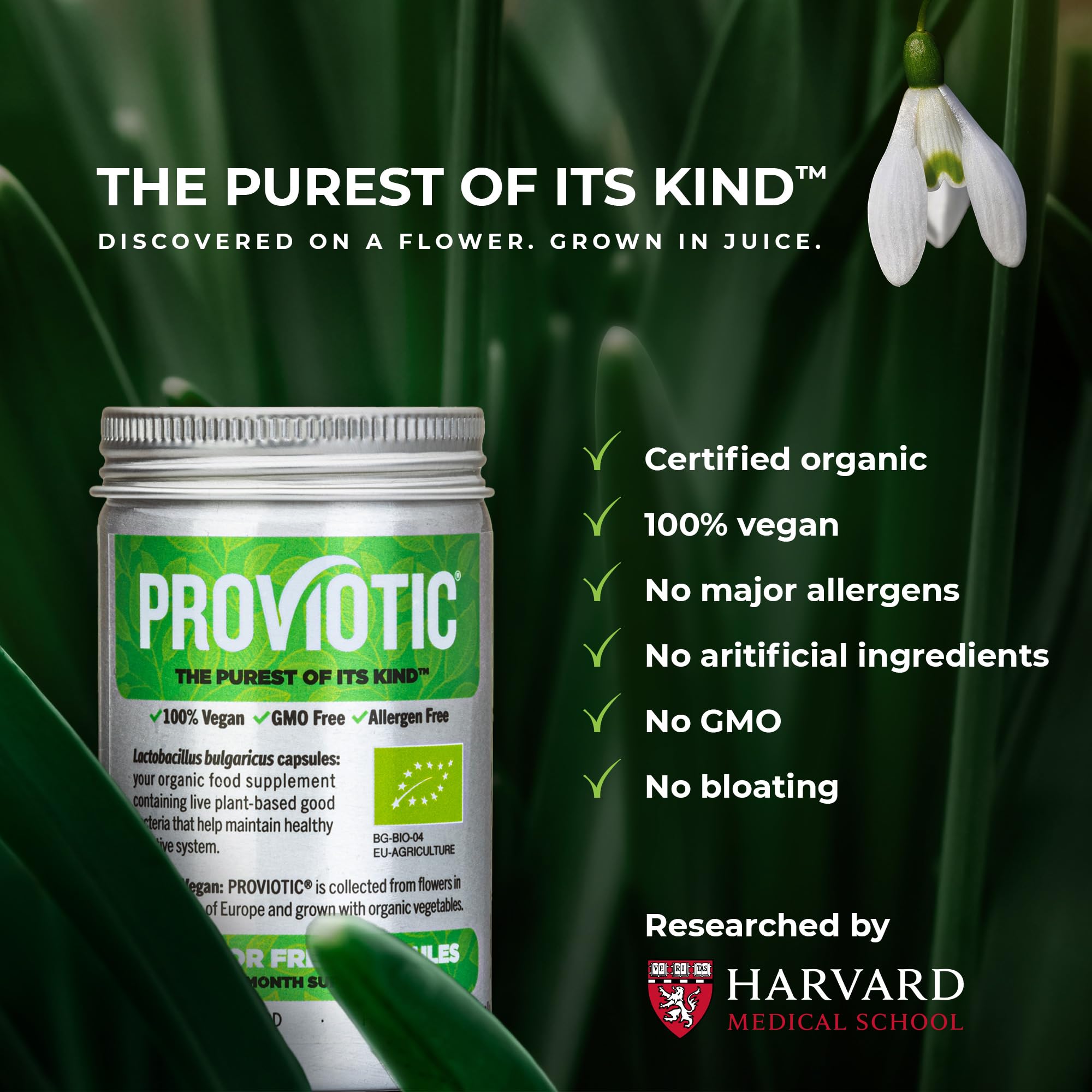 Close-up of PROVIOTIC probiotic capsules