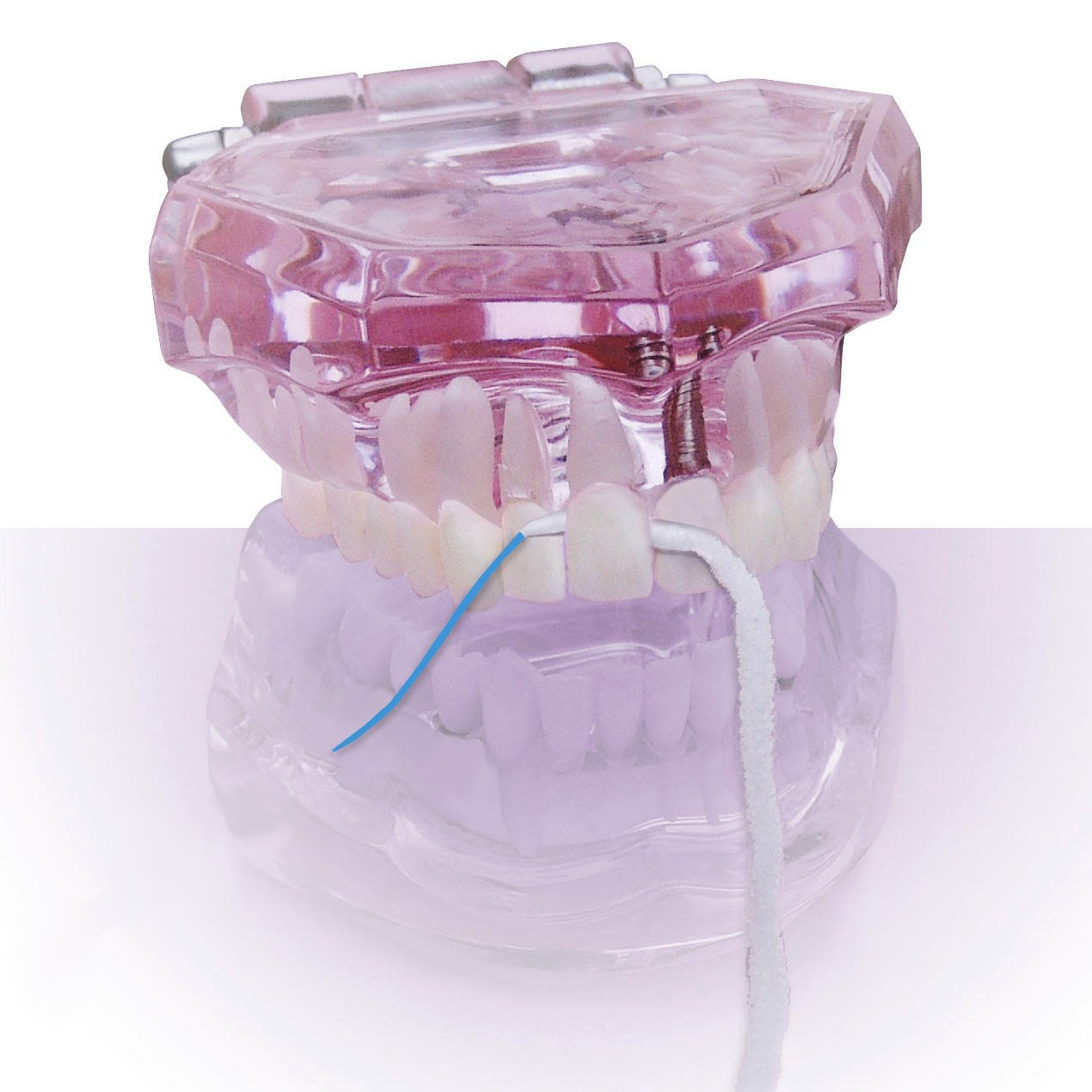 Travel dispenser with 50 pre-cut floss strands