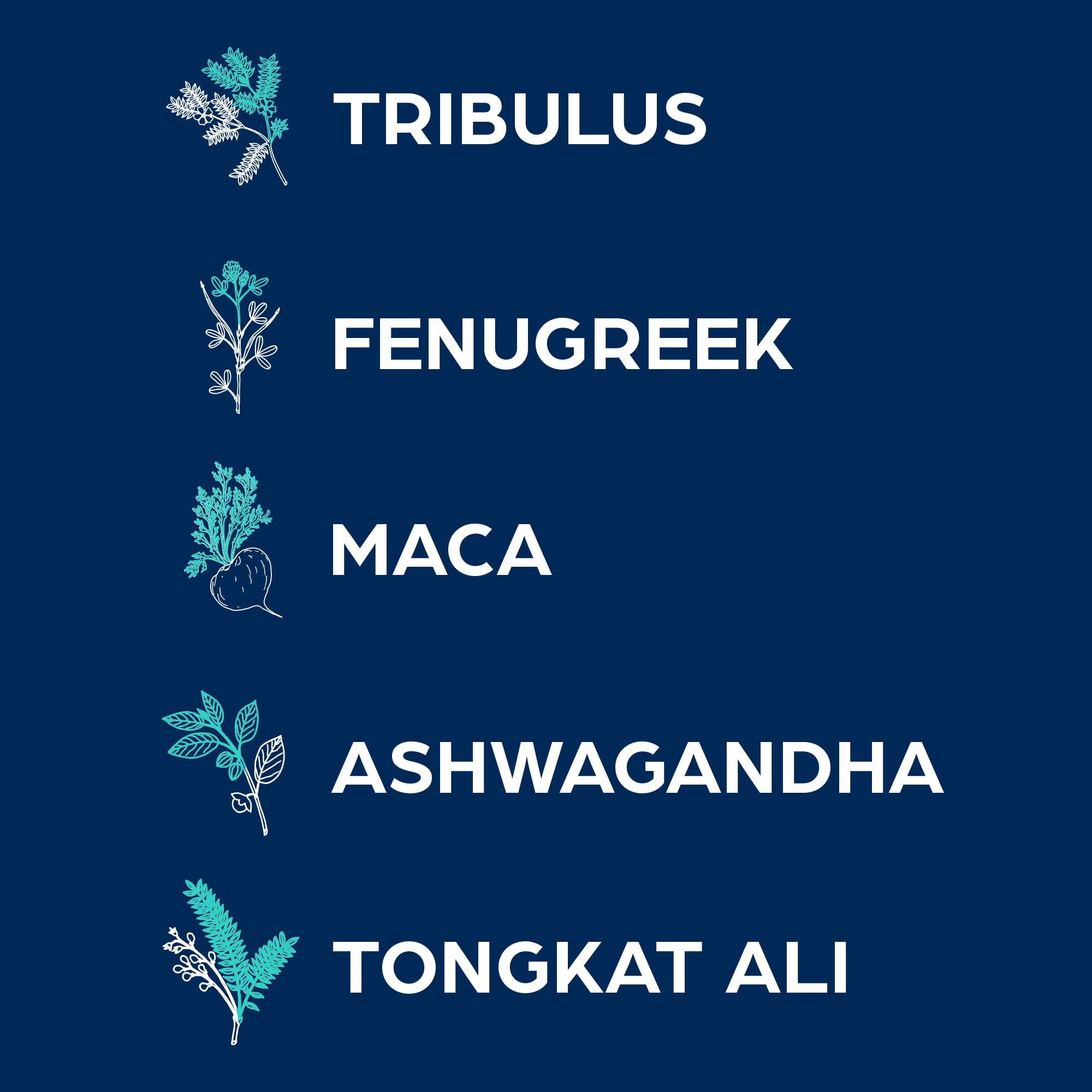 Tribulus, Tongkat Ali, Fenugreek, Ashwagandha, Horny Goat Weed and Maca root ingredients