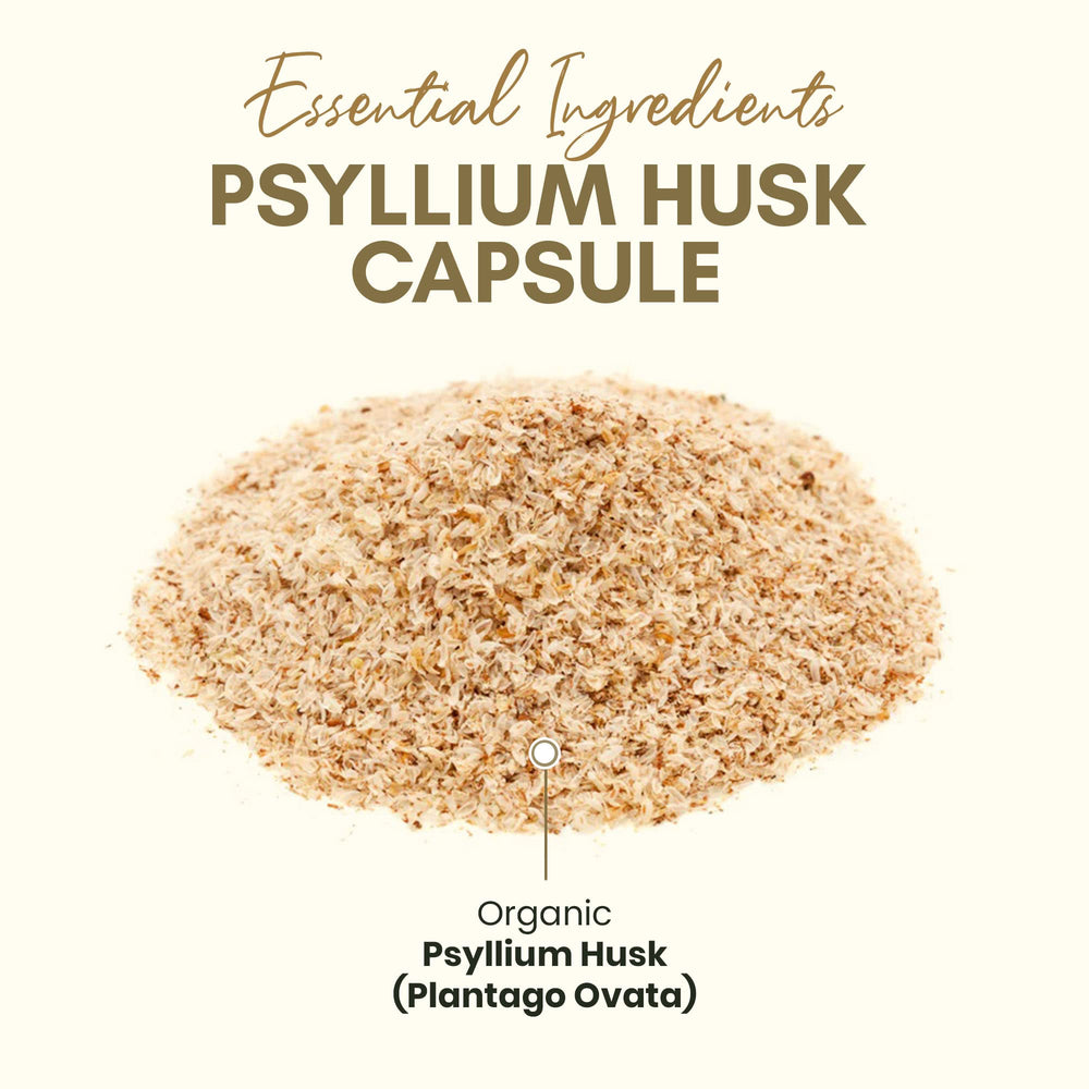 Close-up of psyllium husk capsules 750 mg
