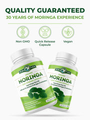 Ingredient and purity information for Pura Vida Moringa