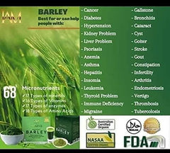 Close-up of Organic Barley Grass powder