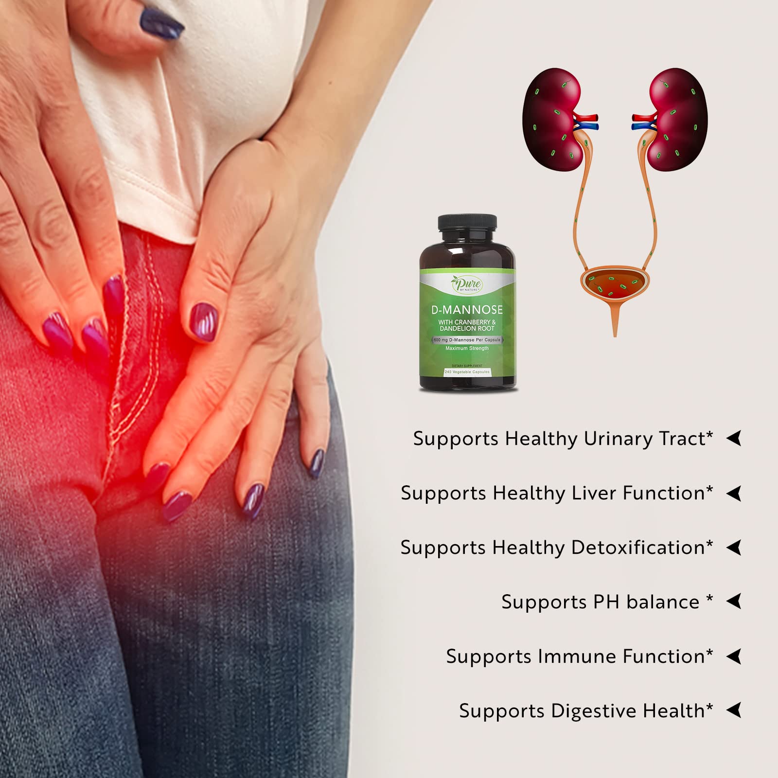 Illustration of Cranberry extract used in Pure By Nature capsules