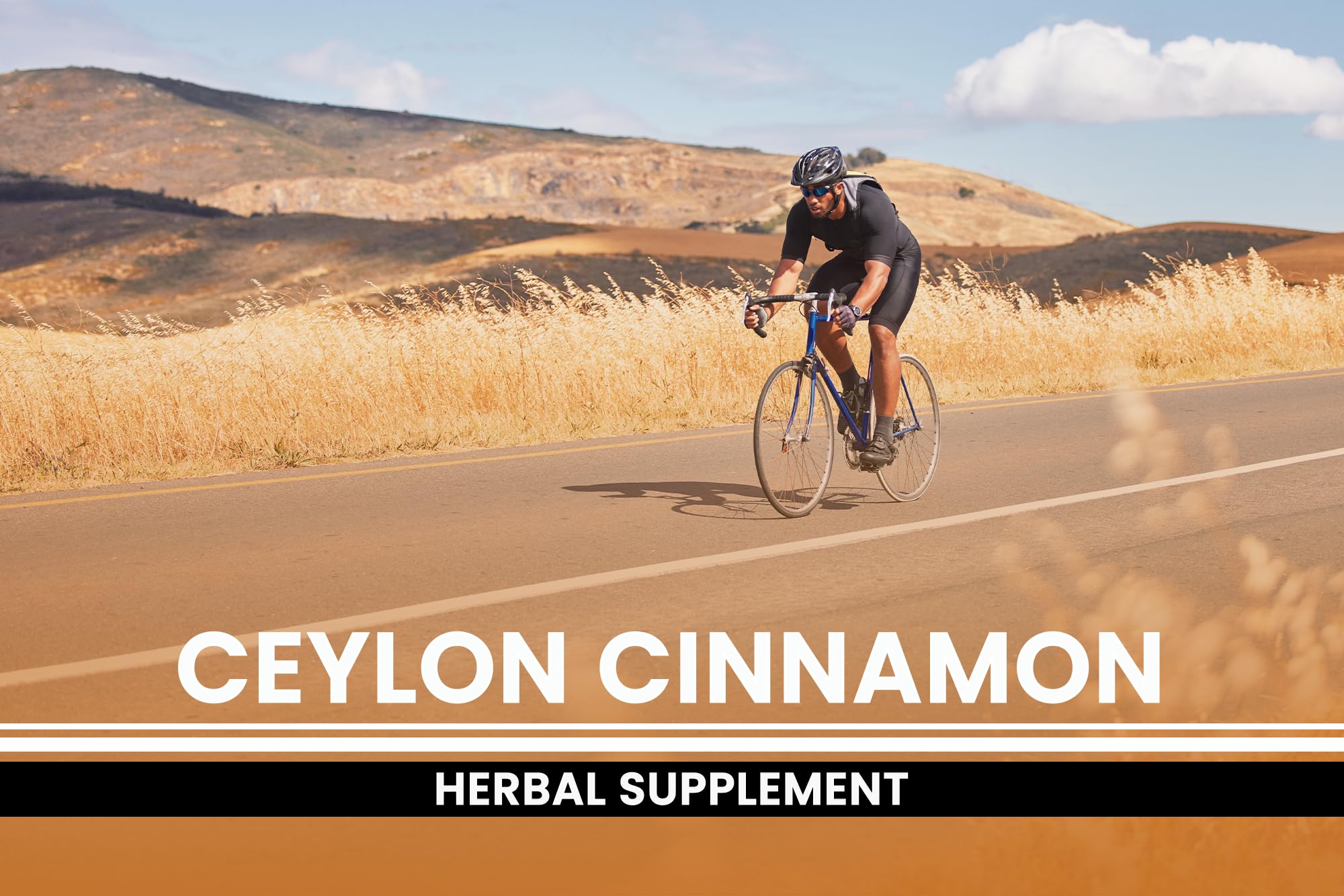 Ceylon Cinnamon origin True Cinnamon description