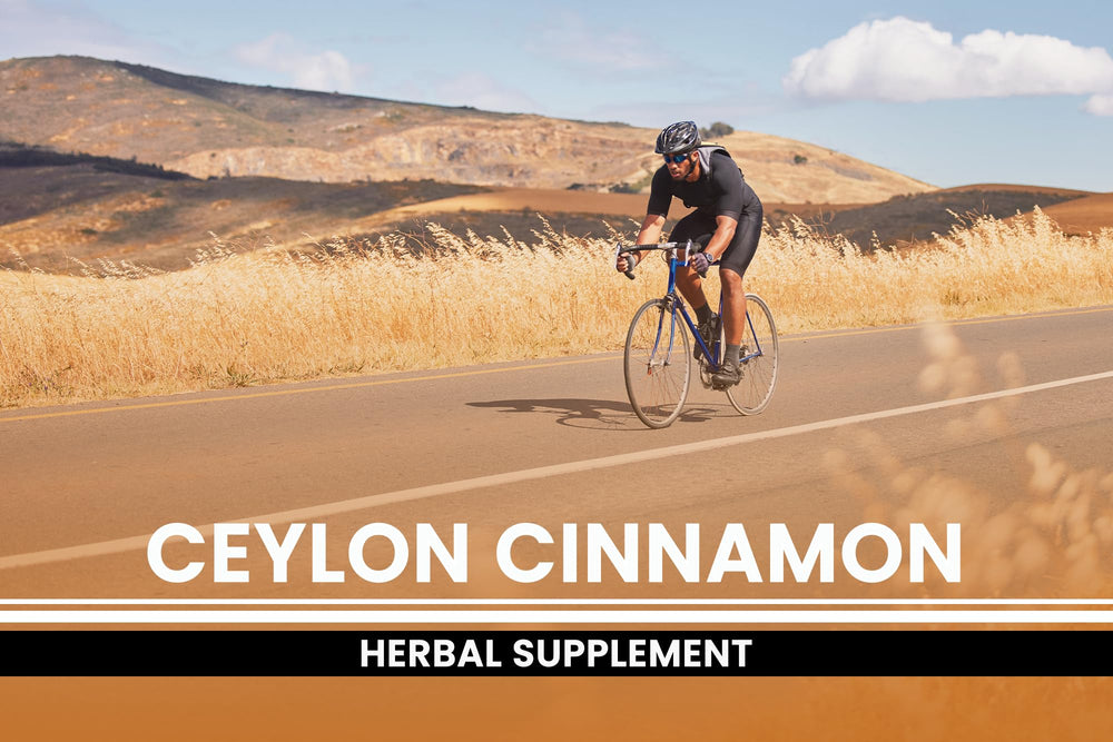 Ceylon Cinnamon origin True Cinnamon description