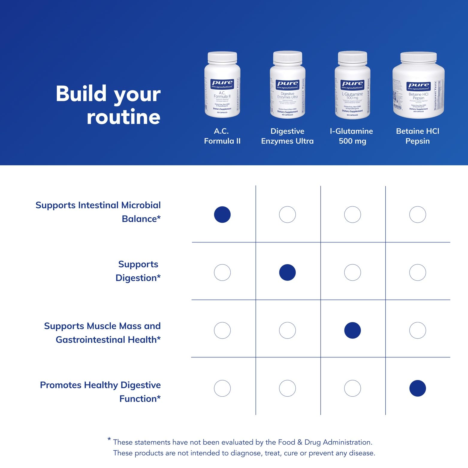 Digestive and colon health concept graphic