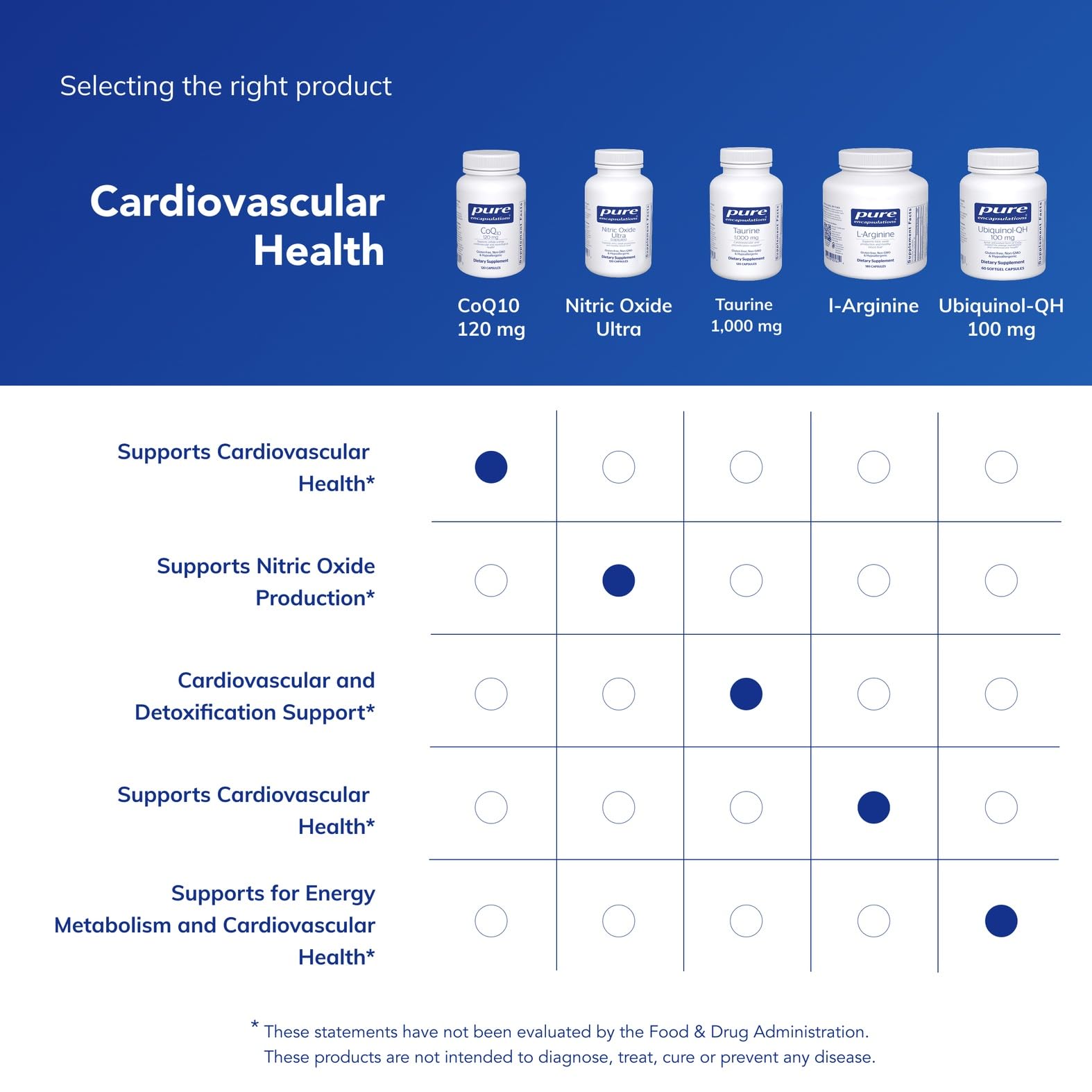 Antioxidant support for CoQ10 supplement