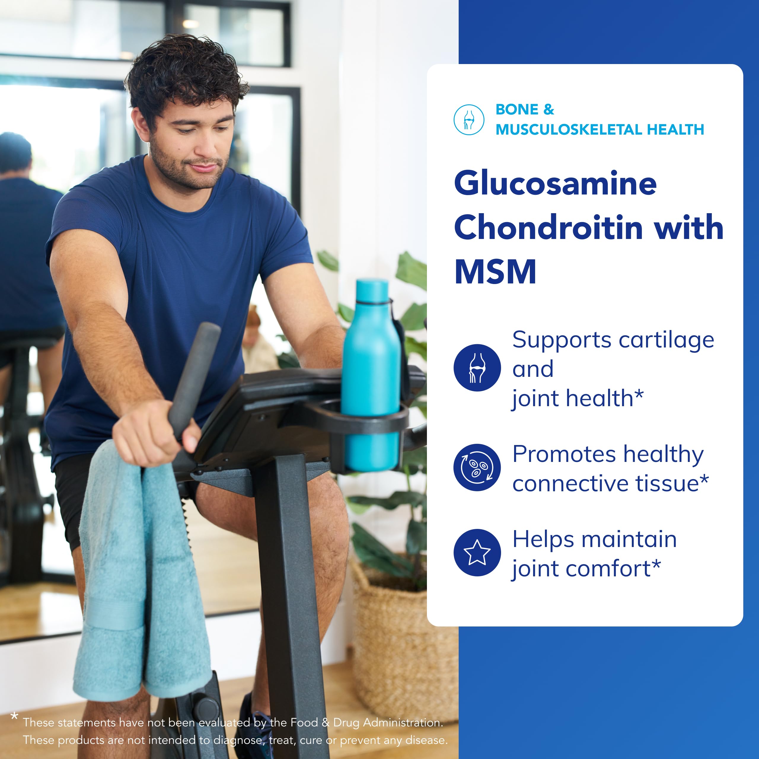 MSM capsule representing enzyme activity support