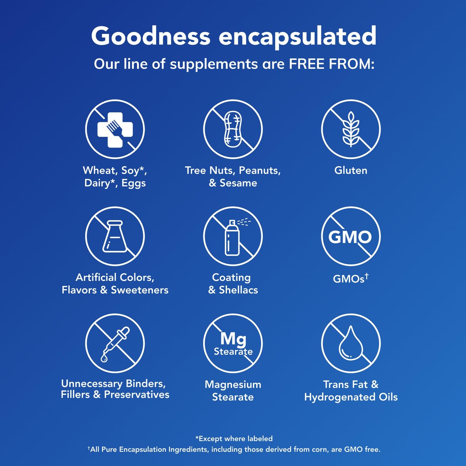 Graphic showing key ingredients: Vitamin C, alpha-lipoic acid (ALA), CoQ10 and NAC