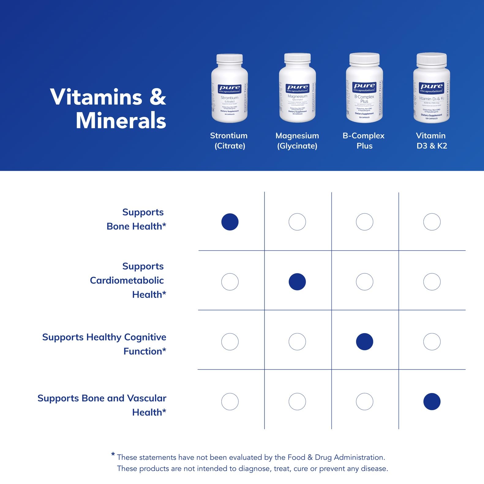 Graphic representing vertebrae health and composition