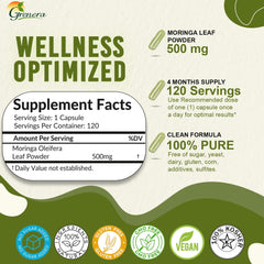 Close-up of Moringa Oleifera leaf powder capsules