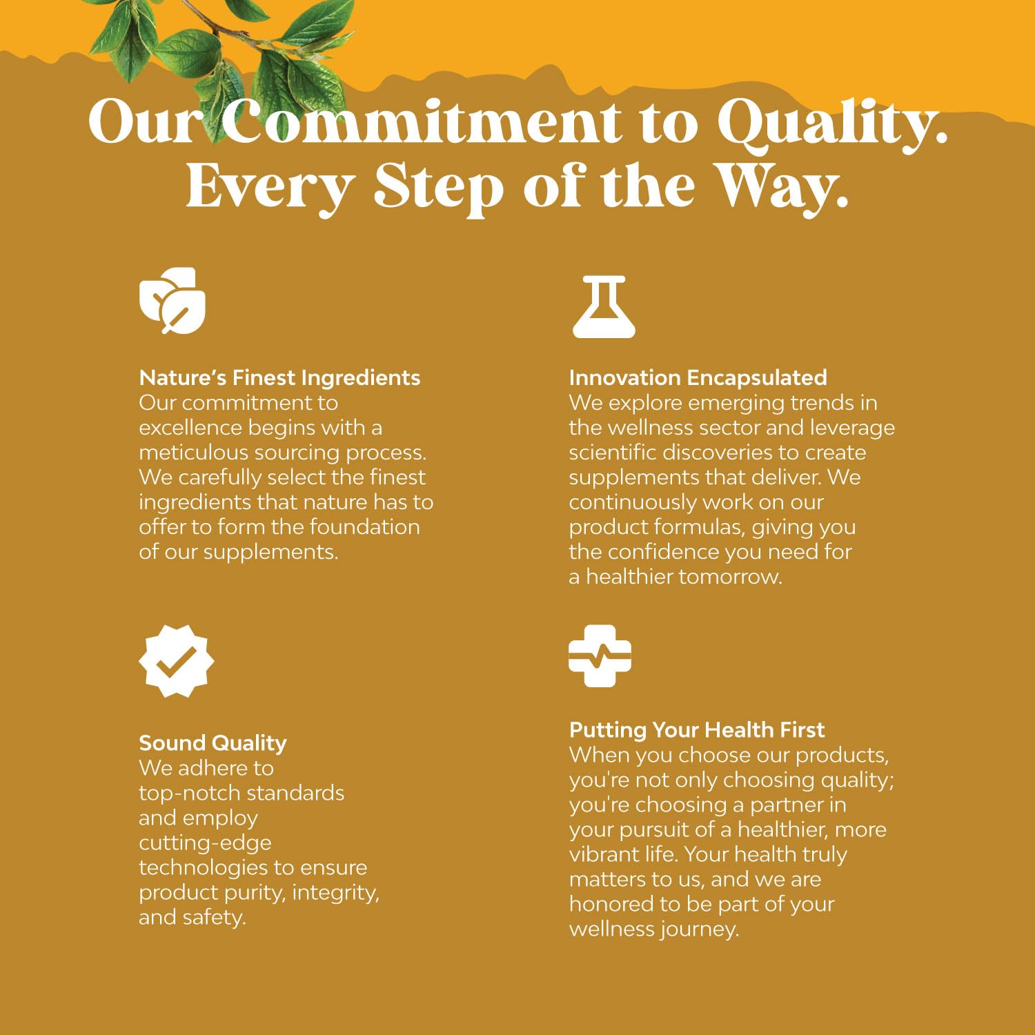 Lung health and respiratory support illustration