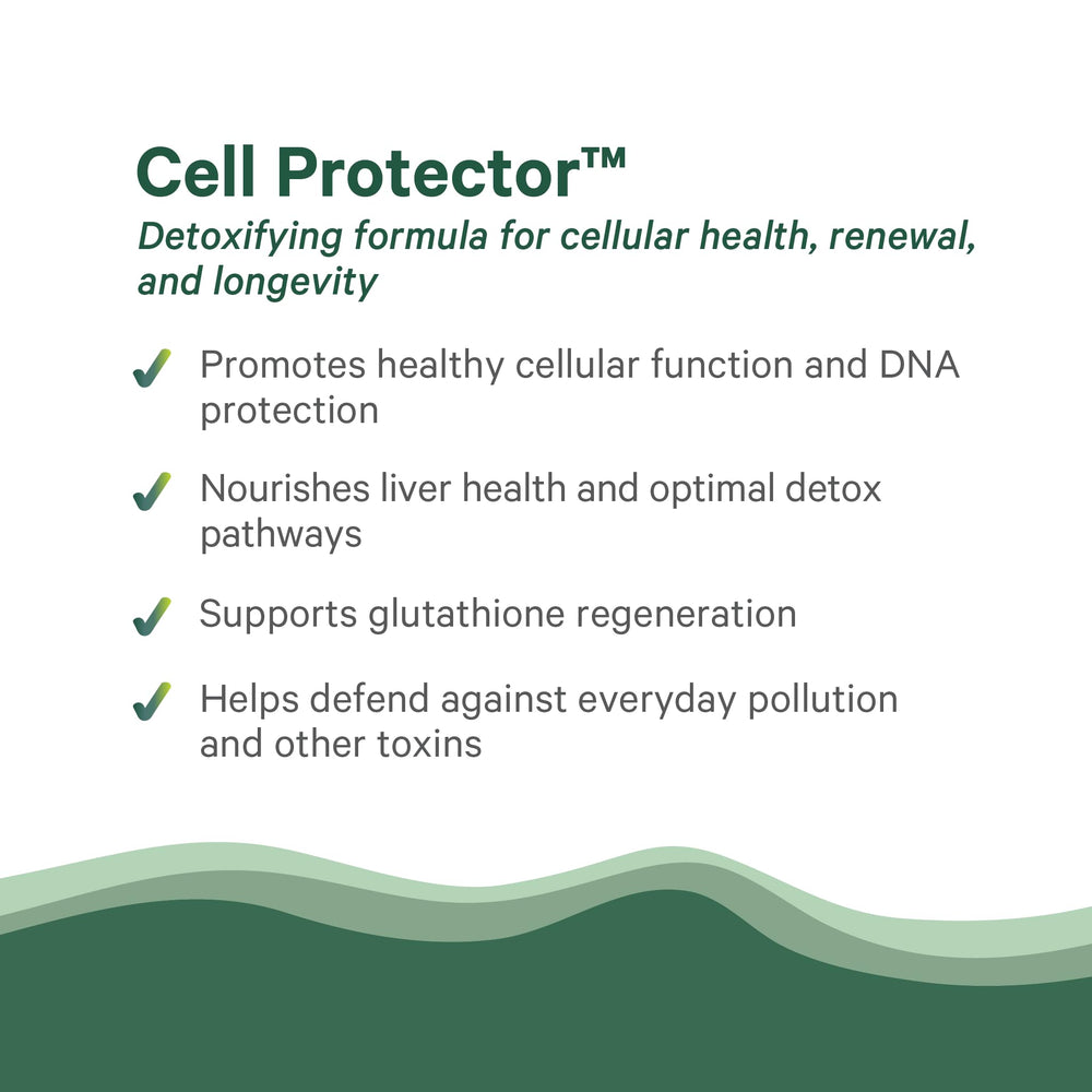 Cruciferous vegetables and plant-based antioxidants supporting cellular health