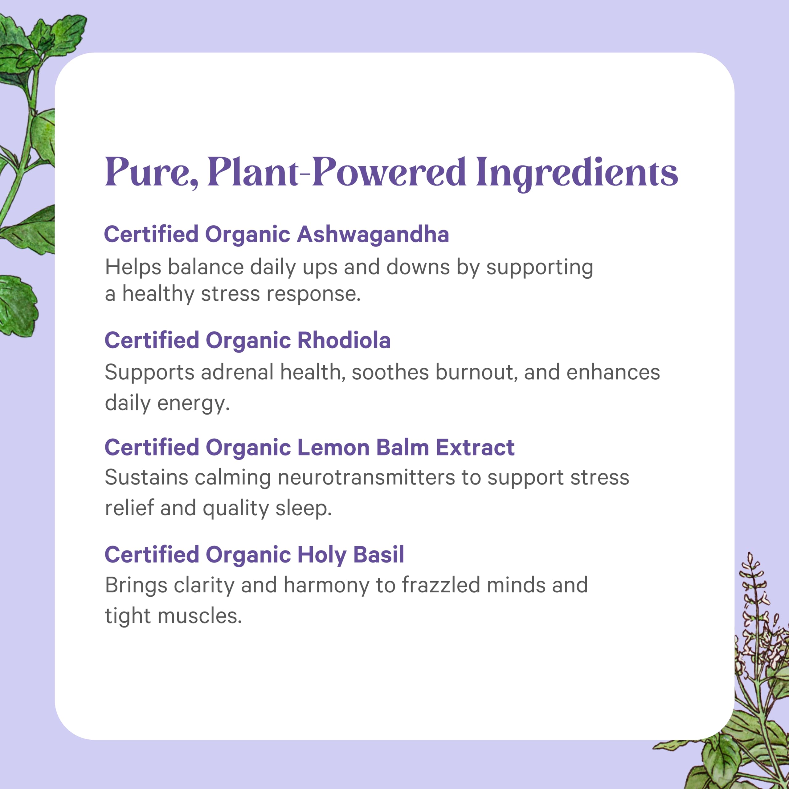 Adrenal health support from Pure Synergy Stress Remedy