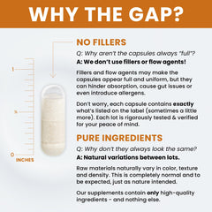 Pure Therapro Rx Elite Enzymes packaging on white background