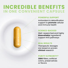 Graphic highlighting sulforaphane and curcumin ingredients