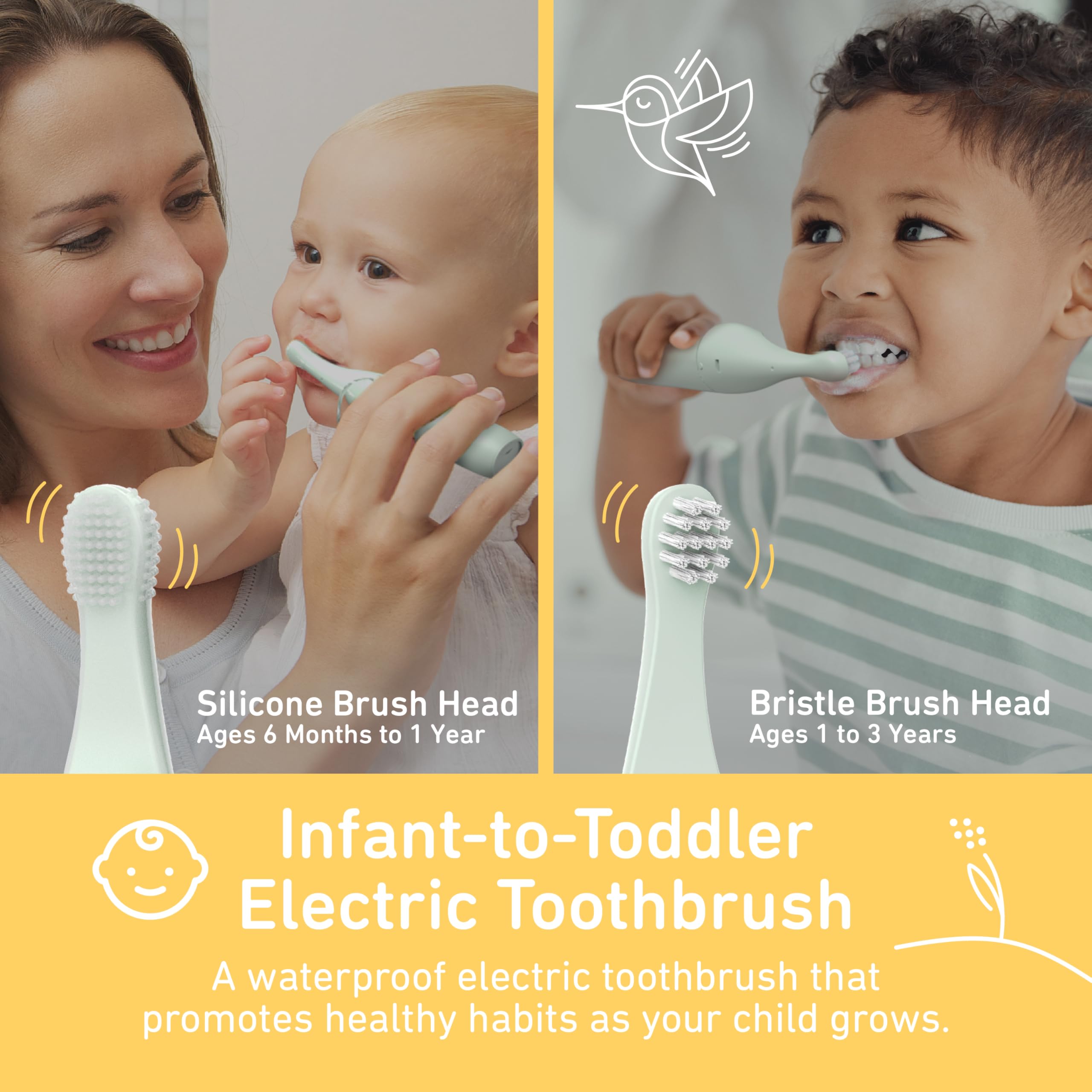 Gentle sonic vibration and 2-minute brushing timer controls