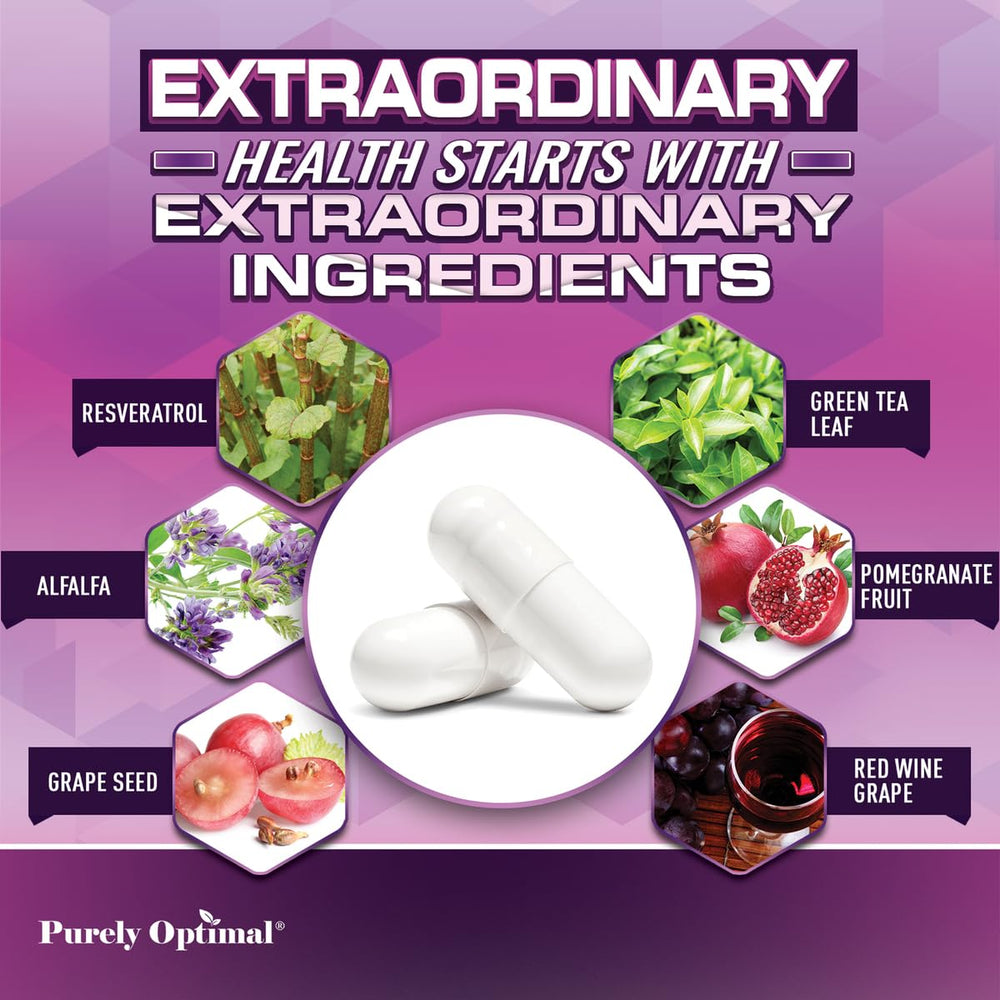 Japanese knotweed plant (Polygonum cuspidatum) source for resveratrol